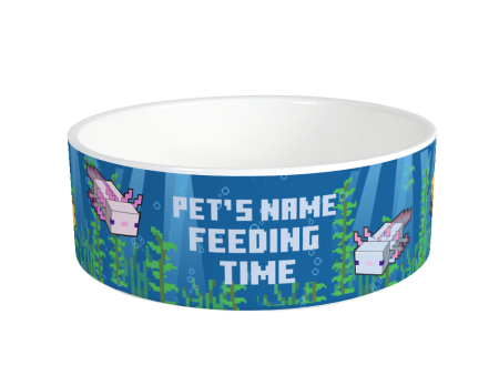 Minecraft Axolotl Feeding Time Personalized Pet Bowl For Sale