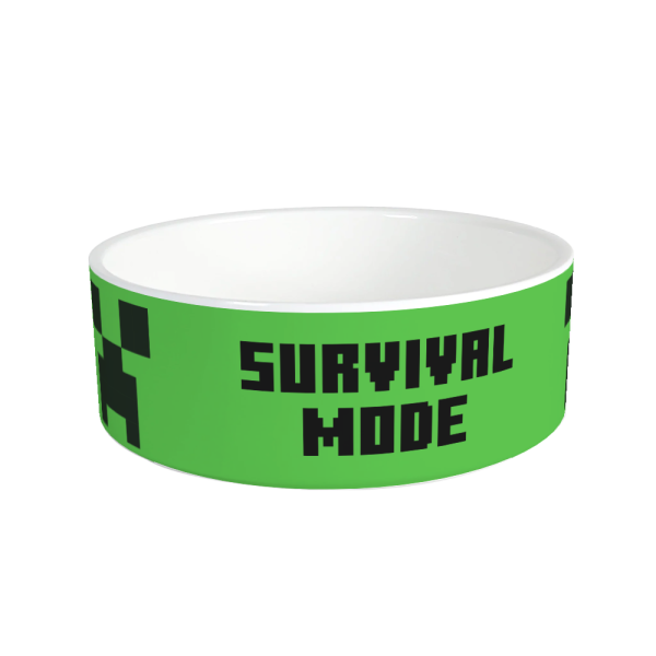 Minecraft Creeper Survival Mode Personalized Pet Bowl Cheap