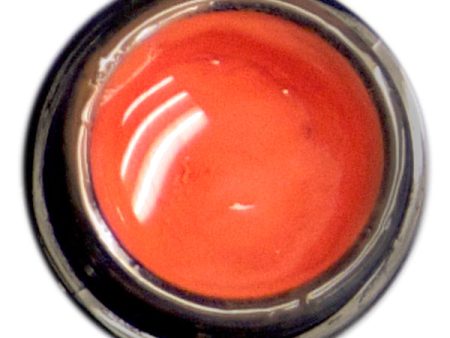 AnGel Artist Gel Pot - Plain Orangutan Sale